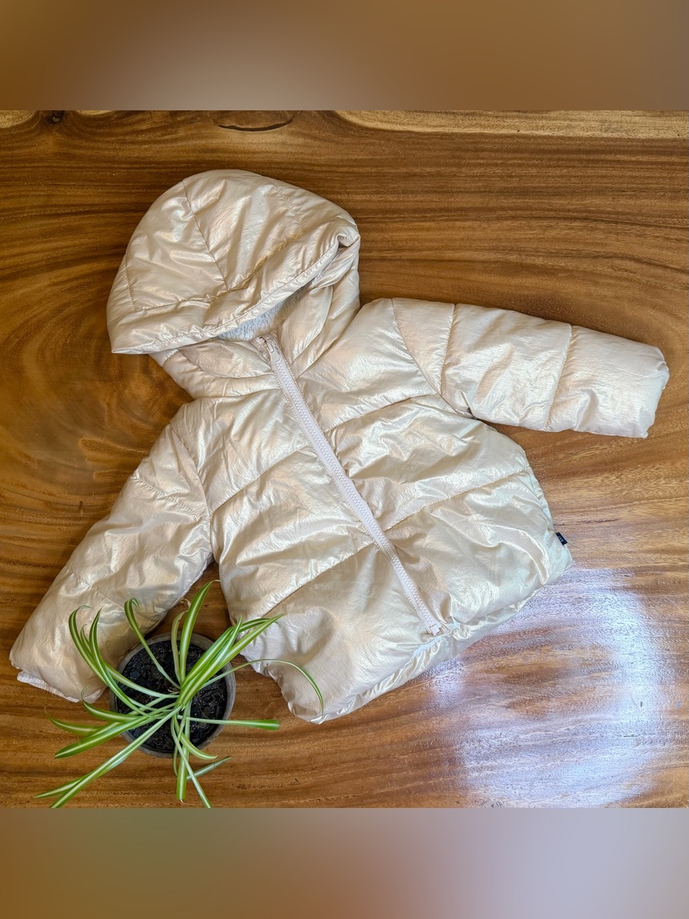 Baby Gap | Gold Metallic Sherpa-Lined Puffer Jacket - 2T ✨